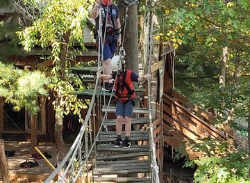 north-carolina/asheville/attraction/asheville-treetops-adventure-park