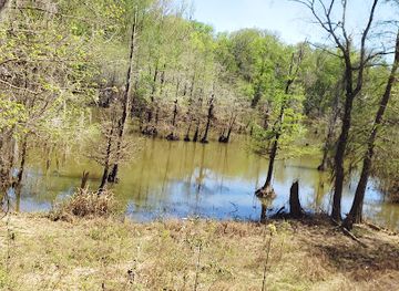 alabama/tombigbee-river/attraction/lenoir-landing-park