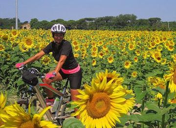 italy/pisa/attraction/versilia-ebike