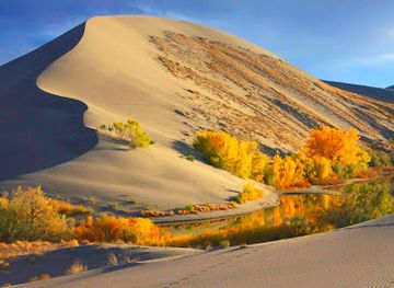 idaho/panhandle/attraction/bruneau-dunes-state-park