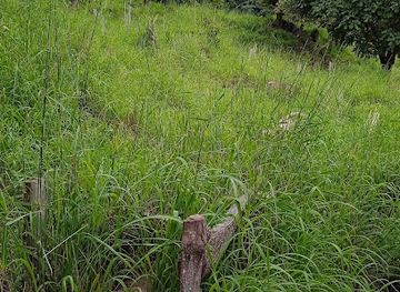 nicaragua/esteli-cigar-tours/attraction/finca-el-salto