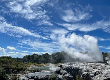 new-zealand/rotorua/attraction/geyser-terrace-viewing