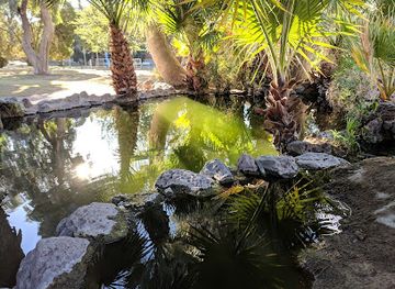 arizona/tucson-mountain-park/attraction/turtle-pond
