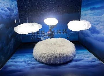 florida/orlando-theme-parks/attraction/lonely-dog-immersive-experience