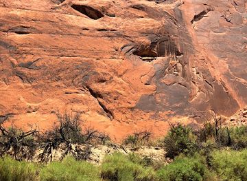 arizona/page/attraction/petroglyphs