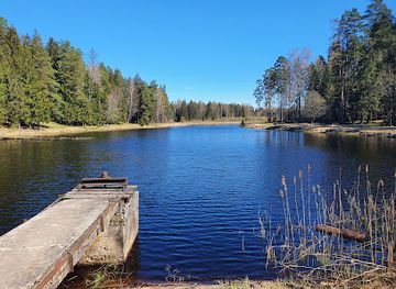 latvia/teici-nature-reserve/attraction/ogre-forest-lake