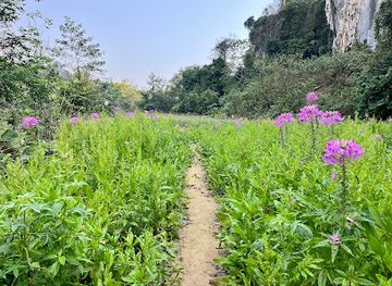laos/phongsaly-province/attraction/huay-san-village