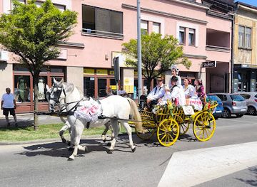 croatia/baranja/attraction/dakovacki-vezovi