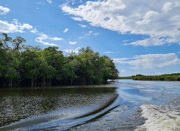 jamaica/south-coast/attraction/black-river-safari-tours