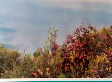 india/jodhpur/attraction/ummed-palace-sunset-point