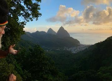 saint-lucia/anse-mamin/attraction/morne-tabac-rain-forest-trail-and-parrot-sanctuary