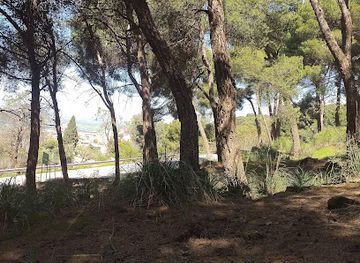 algeria/tlemcen/el-mechouar/attraction/ghabat-al-qalaa-al-ulya