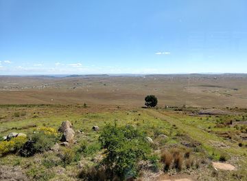 south-africa/amatola-mountains/attraction/nelson-mandela-museum