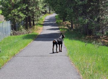 idaho/ponderosa-state-park/attraction/mccall-greenway-and-walking-path
