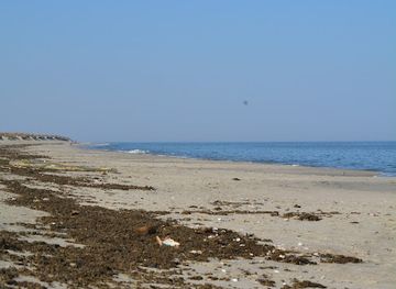 new-jersey/delaware-bayshore/attraction/beach-plum-island-nature-preserve