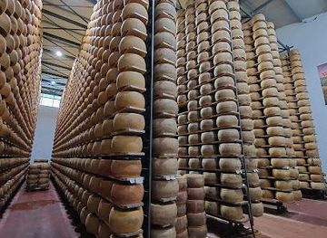 italy/bologna/attraction/moscattini-farm