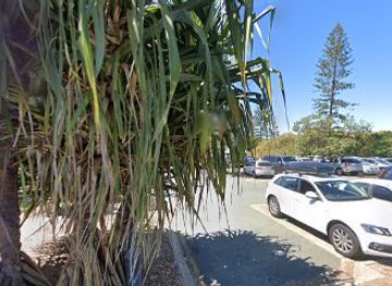 australia/noosa/attraction/sculpture-tree-trunk-sea-eagle-on-top