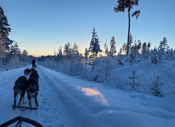 sweden/lapland/attraction/wild-lapland