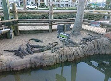 florida/orlando/attraction/congo-river-golf