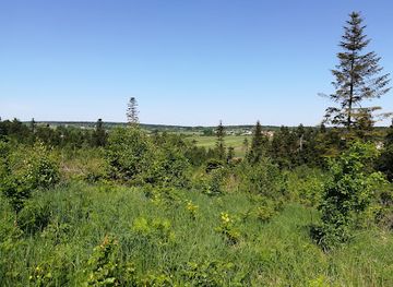 poland/holy-cross-mountains/attraction/rezerwat-przyrody-gora-sieradowska