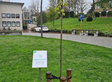 belgium/de-panne/attraction/de-vriendschapsboom