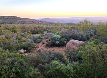 south-africa/namaqualand/attraction/namaqua-flower-skilpad-camp