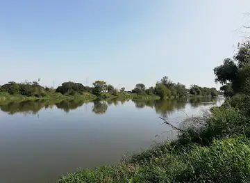 Mala Panew meets Odra