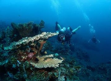 indonesia/bali/attraction/tulamben