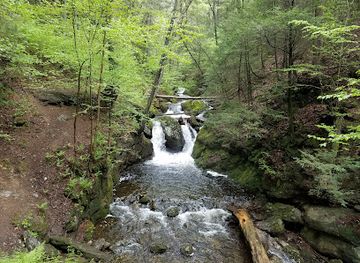 connecticut/the-quiet-corner/attraction/naugatuck-state-forest