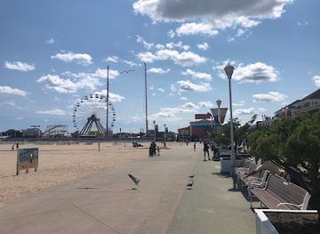 maryland/ocean-city/attraction/trimpers-mirror-maze