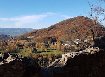 austria/bregenzerwald/attraction/burgruine-neuburg