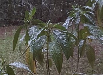 iraq/kirkuk-region/attraction/