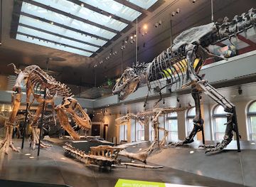 california/san-gabriel-valley/attraction/natural-history-museum-of-los-angeles-county