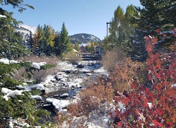 colorado/breckenridge-ski-resort/attraction/breckenridge-alpine-garden