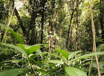 honduras/rio-platano-biosphere-reserve/attraction/cordillera-wimpi