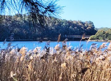 australia/illawarra/attraction/puckey-s-boardwalk