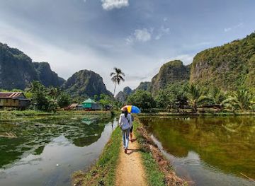indonesia/west-papua/attraction/taman-nasional-bantimurung-bulusaraung