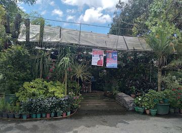philippines/baguio/attraction/baguio-orchidarium