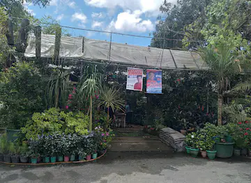 Baguio Orchidarium
