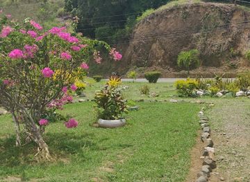trinidad-and-tobago/tobago/attraction/flower-garden