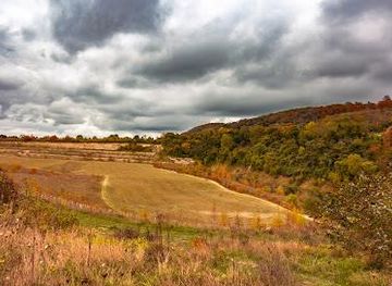 united-kingdom/oxford/attraction/chilterns-nature-chinnor-chalk-pits