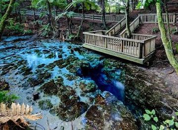 new-zealand/rotorua/attraction/hamurana-springs-nature-park-golf-course