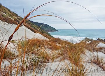 new-zealand/tasman/attraction/kahurangi-point-lighthouse
