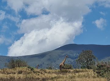 tanzania/lake-zone/attraction/tanzania-tour-guides