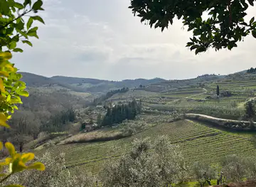 Panzano viewpoint
