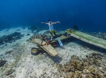 philippines/central-visayas/attraction/wrecked-plane-point