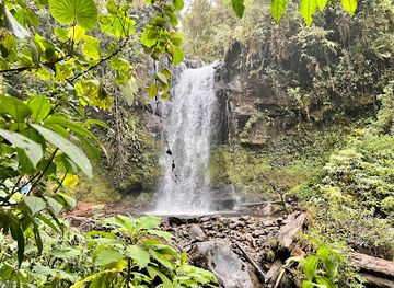panama/david/attraction/pipeline-trail-waterfall