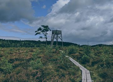 sweden/halland/attraction/djurholmen-strovomrade