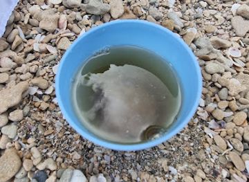 israel/hadera/attraction/neshama-shel-hof