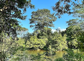 belize/crooked-tree-wildlife-sanctuary/attraction/belize-raptor-center